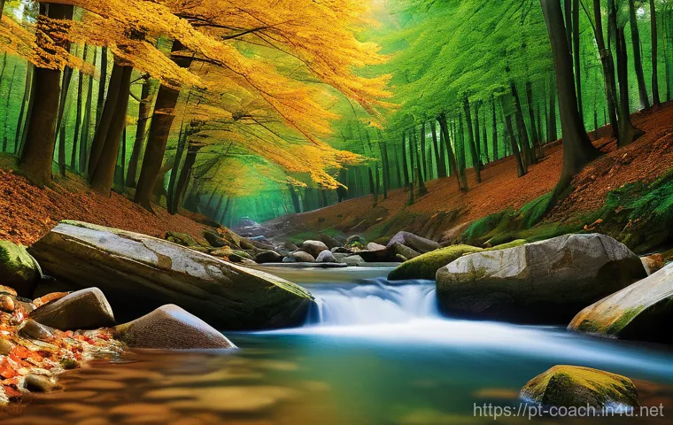 스포츠지도사 필수 과목 집중 공략법 - Here are three detailed image prompts in English, adhering to all specified guidelines: